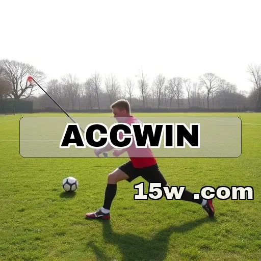 accwin: Mergulhe no Mundo dos Jogos de Mesa e Surpreenda-se